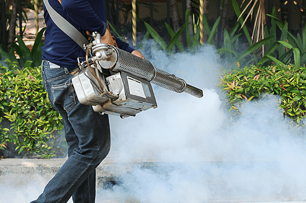 Pest Control
